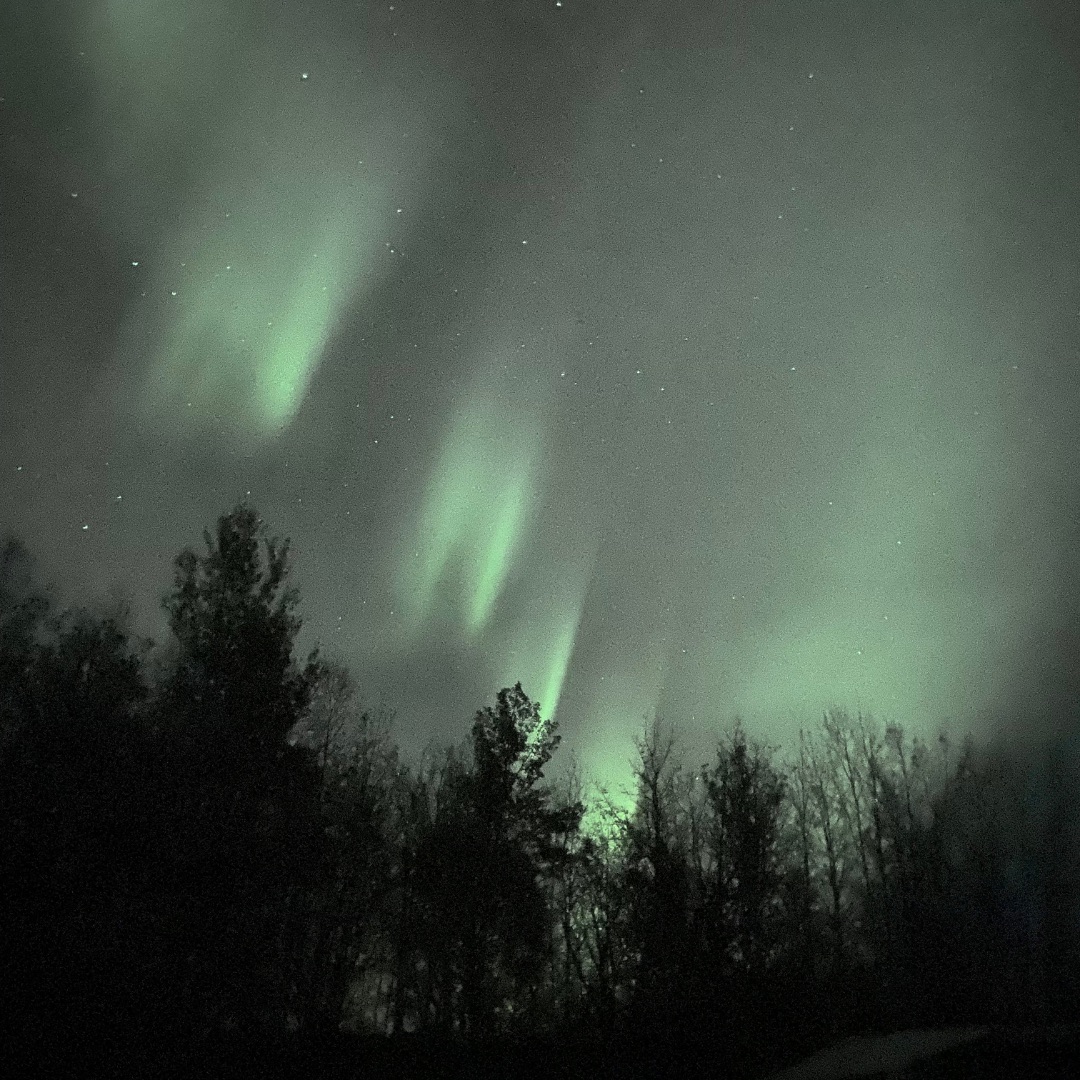 Northern Lights Viewing