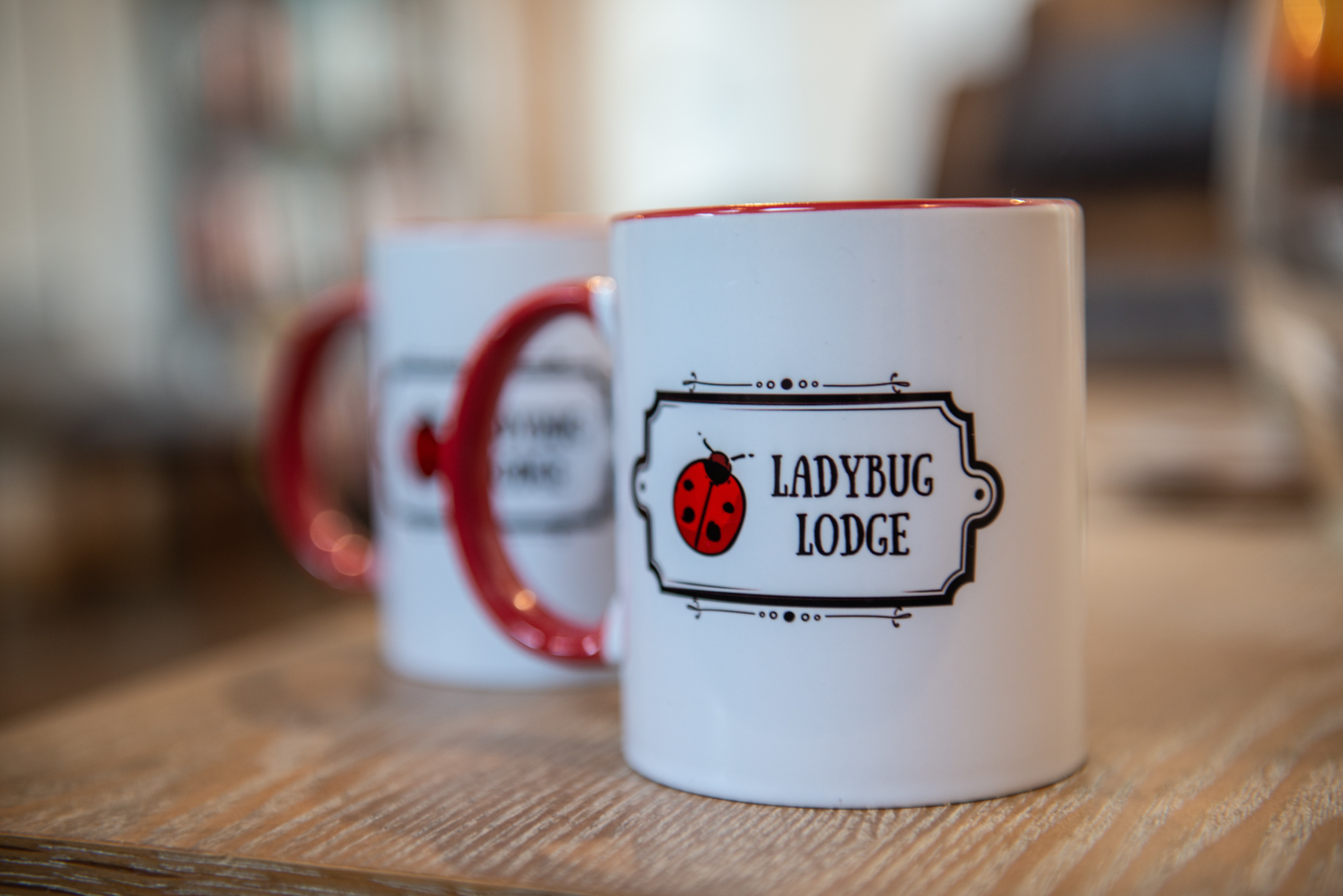 Fully Furnished Creature Comforts